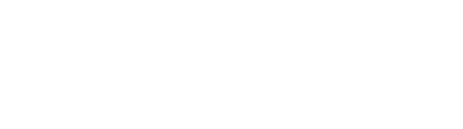 Logo Mercury Infotel Blanco transparente